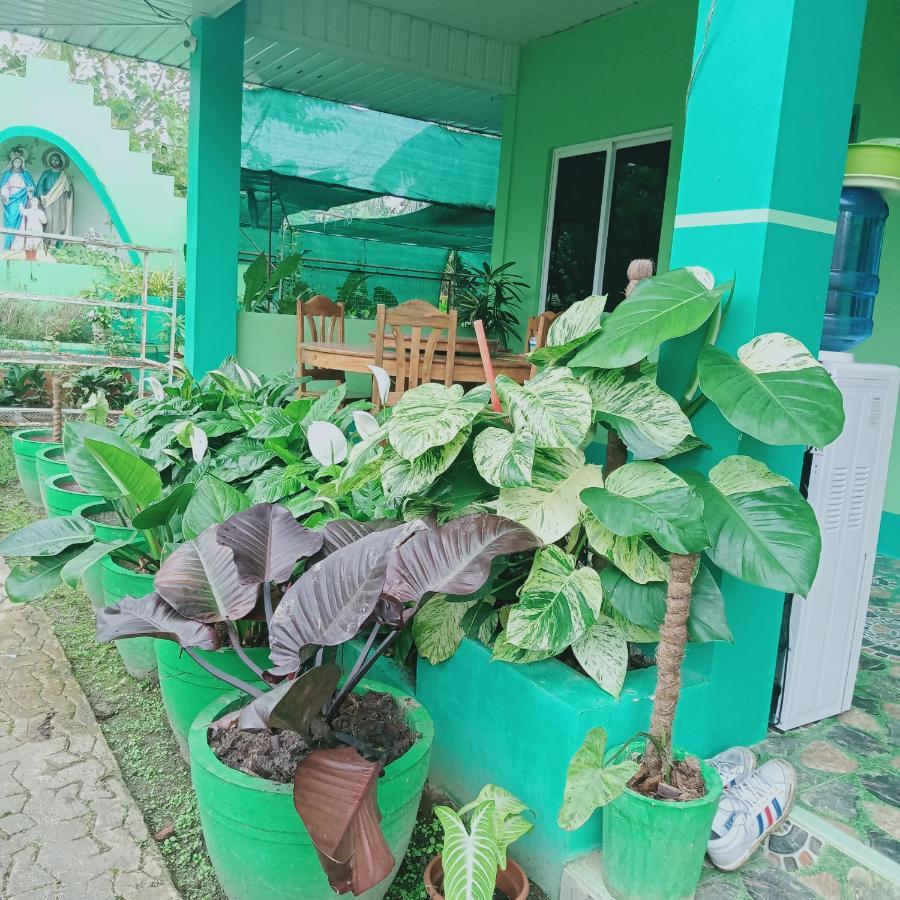 Barril Green Homestay Batuan Экстерьер фото