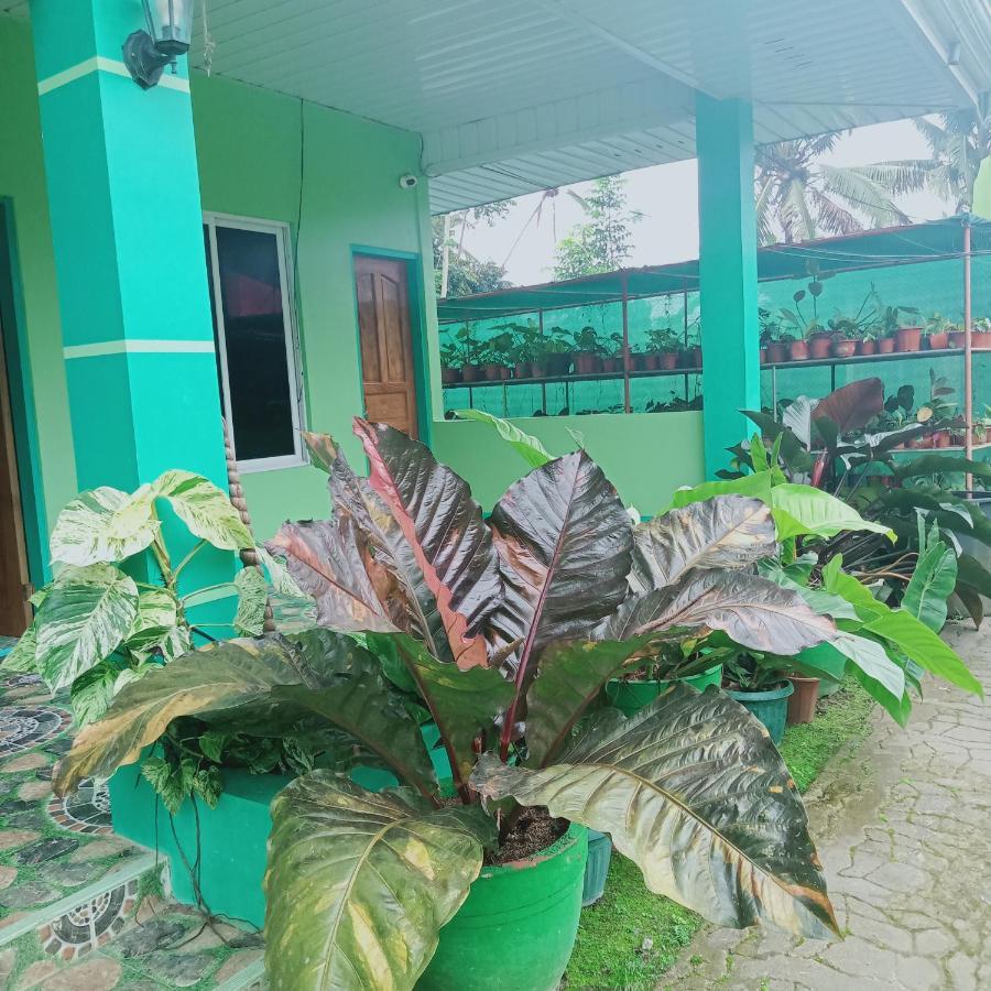 Barril Green Homestay Batuan Экстерьер фото